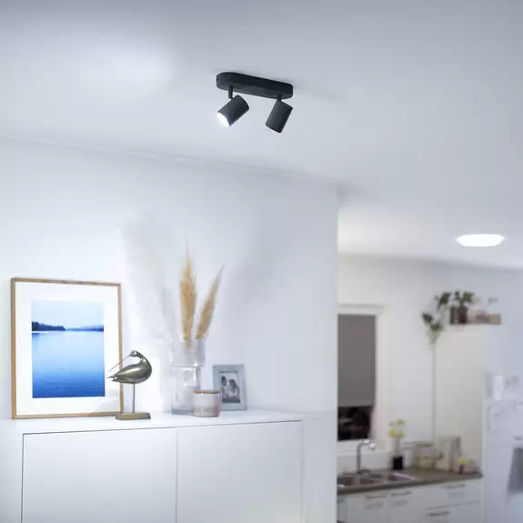 Lampenwelt WiZ Imageo LED-Spot 2-flg. RGB, schwarz Speichern exportieren