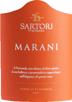 vinello Marani Bianco Veronese IGT - Sartori di Verona Begrenztes Angebot