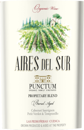vinello Aires del Sur - Dominio de Punctum 50% Rabatt für begrenzte Zeit