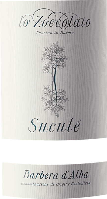 vinello Suculé Barbera d'Alba DOC - Lo Zoccolaio 2025