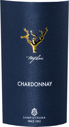 vinello Trefilari Chardonnay Puglia IGP - Cantina Sampietrana im Angebot