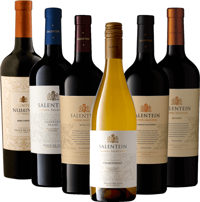 vinello Die Seele Mendozas mit Bodegas Salentein - 6x Probierpaket Zeitlich begrenztes Angebot