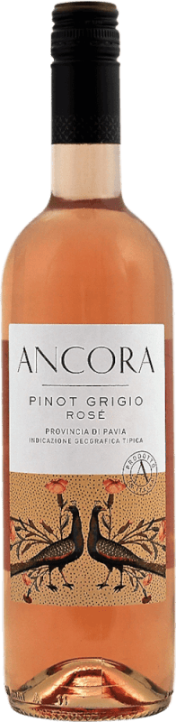 vinello Pinot Grigio Rosé - Ancora
